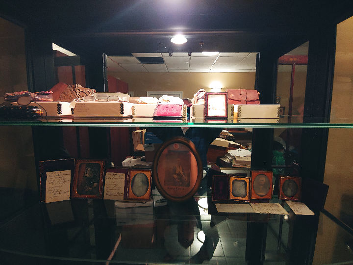 Museum Display Cabinet: Inside view